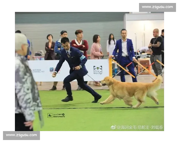 《精彩CKU比赛全程回顾 探索赛事背后的精彩瞬间与激烈对决》 《精彩CKU比赛全程回顾 探索赛事背后的精彩瞬间与激烈对决》
